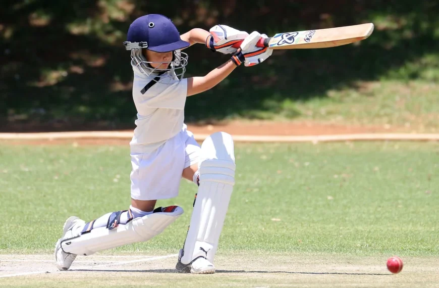 Cricket