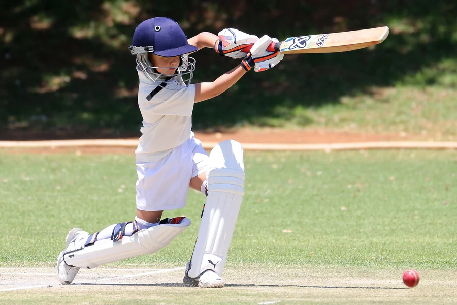 Cricket