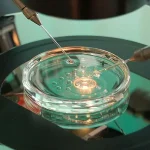 Cellular Resilience