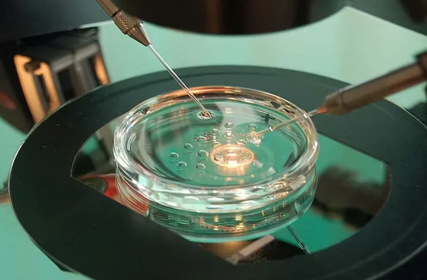 Cellular Resilience