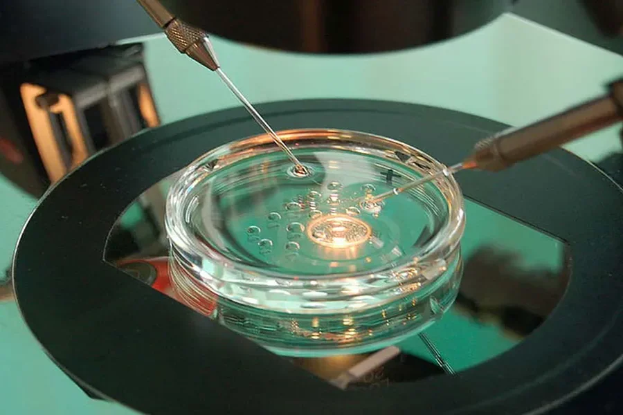 Cellular Resilience