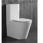 Smart Toilets