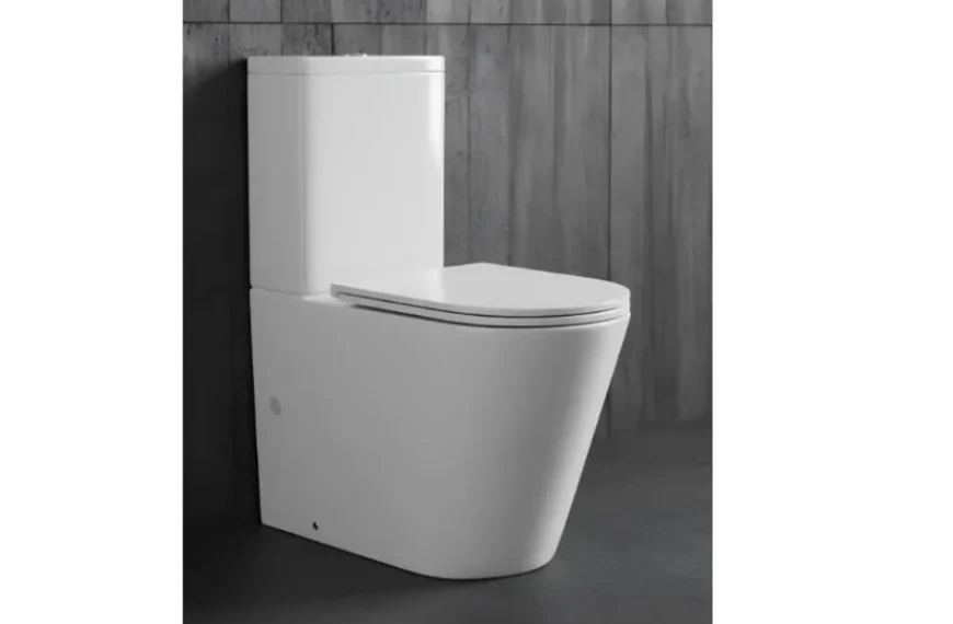 Smart Toilets