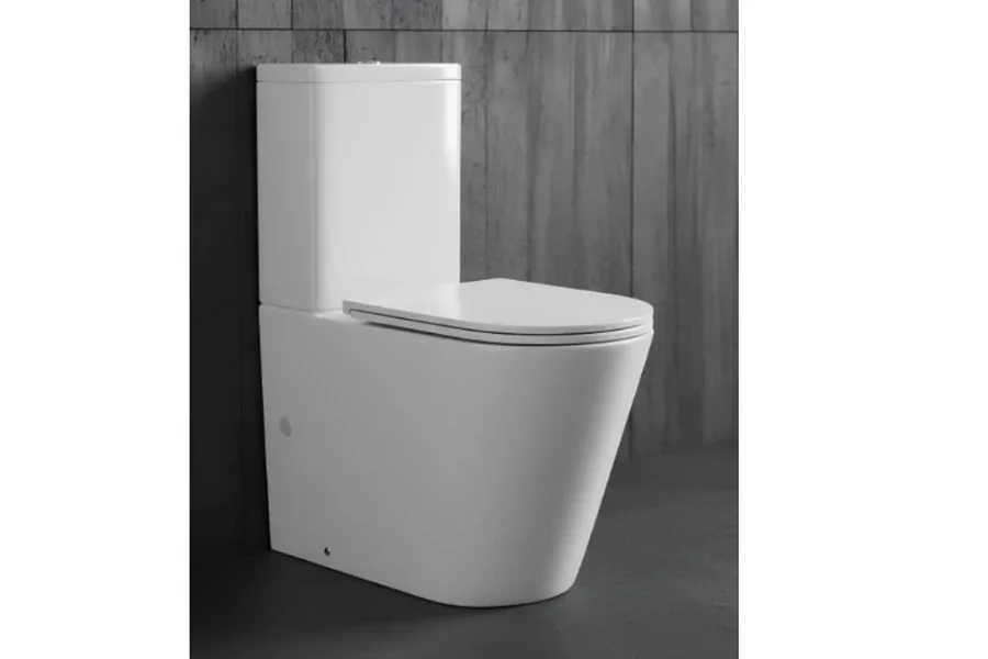 Smart Toilets
