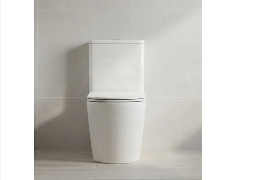 How Can You Maximize Water and Energy Savings Smart Toilets